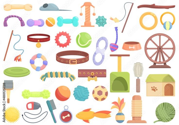 Accessories
